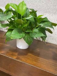 -痘院长·祛痘·皮肤管理