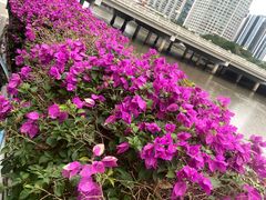 -二沙岛艺术公园