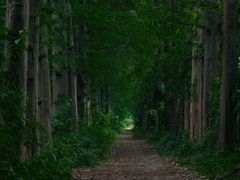 -同里国家湿地公园