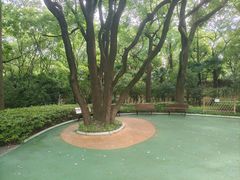 -徐家汇源景区-衡山公园