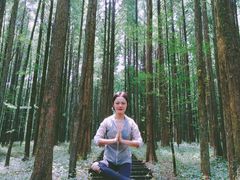 -武陵山森林公园