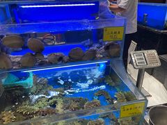 -新海渔港·胶东海鲜家常菜·家宴(奥体中心店)