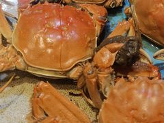 -禾斗海鲜自助(市南银座店)