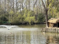 -溱湖国家湿地公园