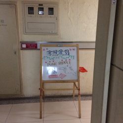 -净漪造型 PURE RIPPLE