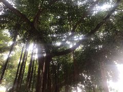 -胡里山炮台