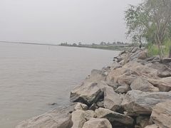 -合肥滨湖国家森林公园