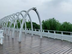 -大兴滨河森林公园