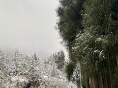 -九峰山