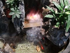 -东椰·海南椰子鸡火锅(朝阳门店)