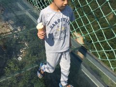 -梦幻奥陶纪景区