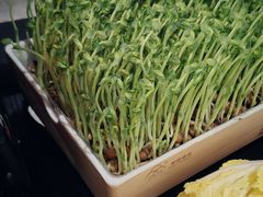 -三不牛腩(新昌万达广场店)