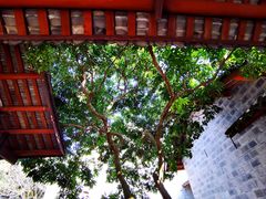 -三苏祠
