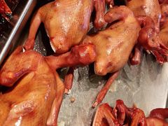 熏鸽子-鸽子窝(青塔店)