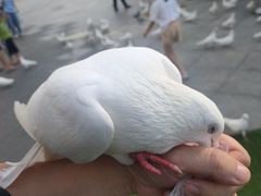 -IPARK购物中心