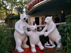 -东方明珠·可口可乐欢乐餐厅