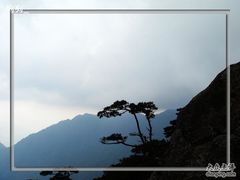 -祁门牯牛降观音堂风景区