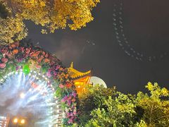-巴倒烫陆派重庆火锅(南山店)