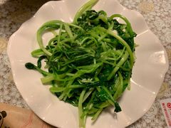 -文三里屯面馆(三里屯店)