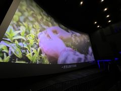 -寰映影城(大融城激光IMAX店)