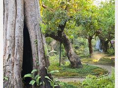 -Chom Cafe and Restaurant