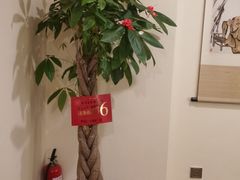 -悦享采耳·洗头头疗·推拿SPA(海沧万科旗舰店)
