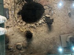 -南越王博物院(王宫展区)
