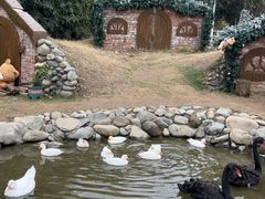 -HERRE·FARM 赫尔露营农场·团建聚会包场