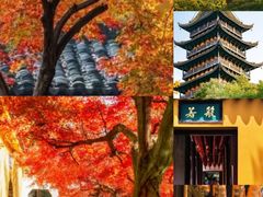 -常熟方塔园