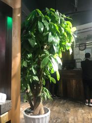 -时尚码头
