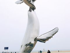 -烟台金沙滩海滨公园
