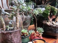 -又至园精品咖啡馆(将军塘店)