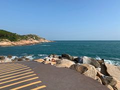 -广东惠东海龟国家级自然保护区