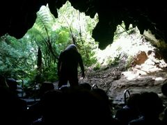 -怀托摩萤火虫洞