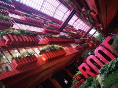 -二酉书店TOYOU BOOKS