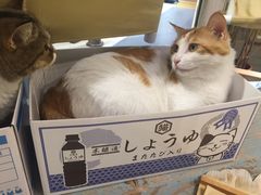 -小时光咖啡馆(开森度假森林店)