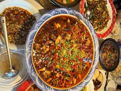 -新概念来凤鱼(璧山店)