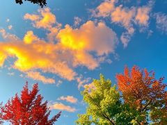 -长白岛森林公园