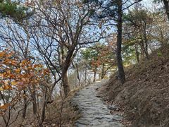 -北京鹫峰国家森林公园