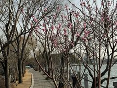 -无锡蠡湖国家湿地公园-蠡园