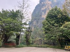 -明仕田园