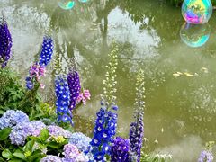 -人民公园(罗湖区)