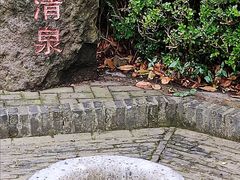 -上海佘山国家森林公园天马山园