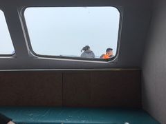 -长岛万鸟岛