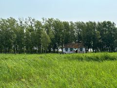 -黑龙江扎龙生态旅游区