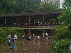 -重庆彩云湖湿地公园