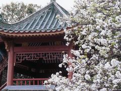 -中山公园