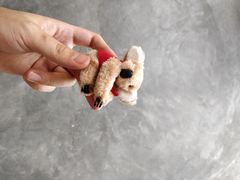 -费瑟代尔野生动物园