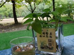 -山水雅居·江南雅宴(运河公园店)