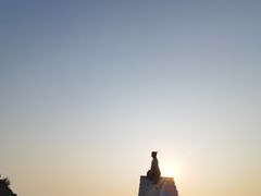 -放鸡岛生态旅游国际度假区